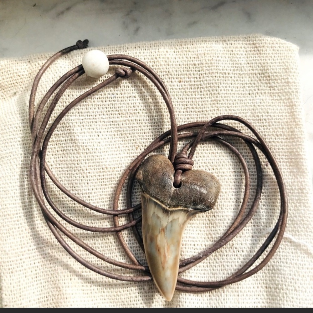 Two mako sharks teeth